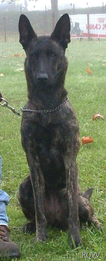  Gaia du Domaine de la Veyssiere